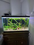 SHARK AKVARYUM ARMATÜR 25 CM-3 SIRA LEDLİ-990 LÜMEN ( 30-35 CM UYUMLU ) 