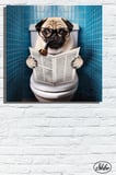 Tekli, Kare, Kanvas, Dekoratif, Duvar, Tablosu , Pug, Tuvalette Gazete Okuyan Köpek,
