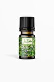 Sinensis Yeşil Çay Doğal Uçucu Yağ Saf Buhurdanlık Esansı Konsantre Oda Kokusu Buhur Yağı 10ml