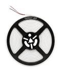 ookay led 12 volt beyaz neon led 5 metre 