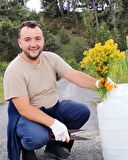 SARI KANTARON YAĞI 250 ML