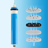 Lotto Filters Su Arıtma Cihazı Membran Filtre, 75 Gpd,1812