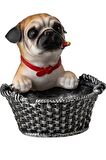 DEKORATİF KÖPEK KÜLLÜK, KÜL TABLASI