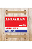 Ahşap Retro Mdf Poster , Komik Sözler , Duvar Yazıları , Manzara ,  Tarih , Edebiyat - Tbl0480
