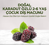 Eyüp Sabri Tuncer Doğal Karadut Özlü Diş Macunu 2-6 Yaş 60ml