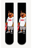 Teddy Bear Desenli Kolej Çorap