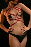 Kırmızı Deri Alımlı Büstiyer Harness