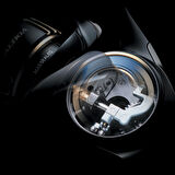 DAIWA SALTIGA 25 10000 P MAKARA