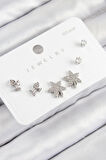 Pirinç Zirkon Taşlı Yıldız Ve Gül Model Gümüş Renk 925 Ayar Gümüş Çivi Kadın Küpe Set - TJ-BKP11179