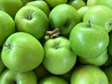 GRANNY SMITH ELMA FİDANI 1 ADET - Aşılı ve Tüplü