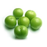 PAPAZ ERİK FİDANI - AŞILI ve TÜPLÜ