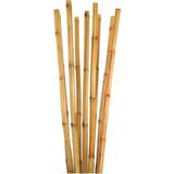 BAMBU BİTKİ DESTEK ÇUBUĞU 120 CM 10 ADET