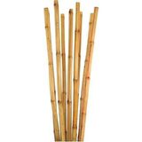 BAMBU BİTKİ DESTEK ÇUBUĞU 180 CM 20 ADET
