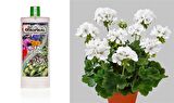 TROPİKAL BİTKİ BESİNİ 6 ADET - GENEL KULLANIM 1000 ML