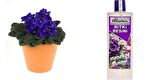 TROPİKAL BİTKİ BESİNİ 3 ADET - MENEKŞE İÇİN ÖZEL 1000 ML