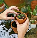 ORGANİK BİTKİ TOPRAĞI TORF KARIŞIMI 20 LİTRE