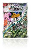 BONSAİ MAVİ SERVİ SETİ (FİDAN+BONSAİ SAKSI+TOPRAK +BİTKİ BESİNİ)