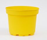 SARI LİMON SAKSISI 3 ADET ( 3 Litre )