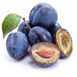 MÜRDÜM ERİĞİ FİDANI 3 ADET - TÜPLÜ ve AŞILI