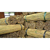 BAMBU BİTKİ DESTEK ÇUBUĞU 75 CM 20 ADET