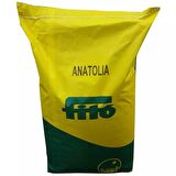 Fito Anatolia Çim Tohumu 200 GR