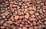 DOLOMİT TAŞI BORDO 2-4 cm 10 KG DOĞAL DEKORASYON TAŞI