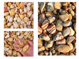 DOLOMİT TAŞI SARI ÇİZGİLİ 6-10 cm 10 KG DOĞAL DEKORASYON TAŞI