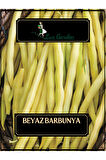 Beyaz Barbunya Tohumu 5 Adet