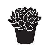 Saksı Çiçeği Kaktüs Model 1 Oto özel yeni sticker 25 x 27 Cm MİXGİFTZ