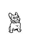 Sevimli Bulldog Oto özel yeni sticker Siyah 20 x 32 cm MİXGİFTZ