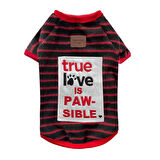 Alphadog Black True Love Küçük Irk Köpek Kazağı