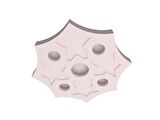 Motifpiyer Tavan Spot Göbek Tsg-20-Sekingen-56Cm Çap