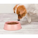 #MamaKabı Sağlam Plastik Yıkanabilir Kedi Köpek Evcil Hayvan Kabı Dayanıklı Büyük Yuvarlak Mama Kabı