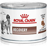 Royal Canin Recovery Pate Yoğun Bakım Maması 195 Gr