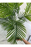 Yapay Ağaç Areka Ağacı Palmiye Ağacı Salon Bitkisi 180cm 13yaprak