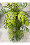 150 cm 3 Dallı 27 Yapraklı Yapay Ağaç Palmiye Areka