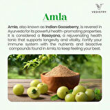 Vedistry Amla+ 1100mg Tablets with Amla & Long Pepper | Immune Support, Vitality & Wellness Booster | Natural Vitamin C, Antioxidants for Immunity