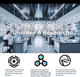 VIVALIFER Urolithin A 2000 MG Antioxidant Promoting Healthy Aging  Mitochondrial Health Repair 120 Softgels