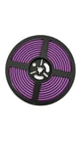 12V mor neon led 5 metre 