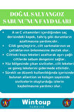 Özel Üretim Cilde Mucizevi Etkili Bitkisel %100 Doğal El Yüz Vücut Kullanım Salyangoz Sabunu 3'lü