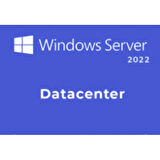 Windows Server 2022 Datacenter Lisans