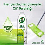 Cif Jel Yüzey Temizleyici Clean boost Tüm Yüzeyler İçin Leke Çıkarıcı Çamaşır Sulu Bahar Ferahlığı 750 ML