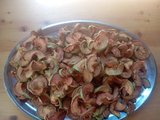 ekşi elma kurusu 250gr