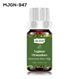 Yağmur Ormanı Esans