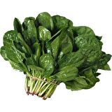 Yerli Ispanak Tohumu - 1000 Gr (Ort 80000 Ad)