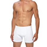 3 Adet Gümüş Erkek Likralı Boxer Renk Seçenekli