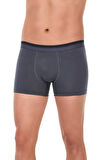 3 Adet Yıldız Erkek Likralı Formen Boxer Short Füme 369