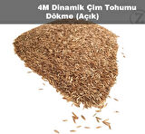Çim Tohumu 1 Kg. Dinamik 6m Dayanıklı Yoğun Basılan Alanlar Için Ideal Çim Tohumu