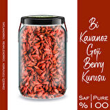 Goji Berry Bi Kavanoz 660 cc. Cam Kavanozda Katkısız Kuru Goji Berry Üzümü Pure Dried Goji Berries