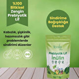 Fibrelle Prebiyotik Lif 1 Kg. Fibrelle Doğal Inülin Hindibağ